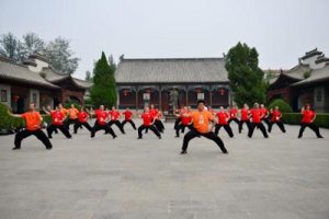 Tai Chi training done by group of Tai Chi practitioners